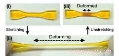 Self-Growing Materials That Strengthen Under Mechanical Force