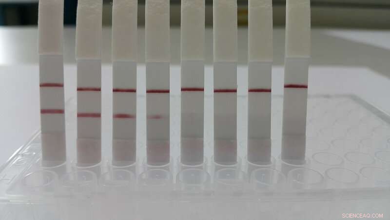 Identifying the Source of Water Contamination: A Quick, Cost‑Effective Approach