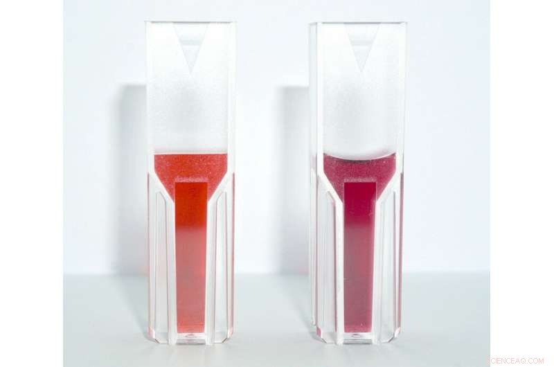 Identifying the Source of Water Contamination: A Quick, Cost‑Effective Approach