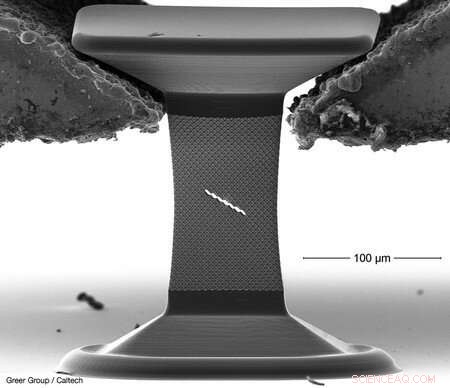 Caltech Research Reveals Dual-Behavior Materials