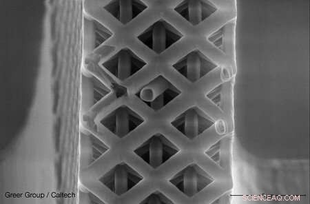 Caltech Research Reveals Dual-Behavior Materials