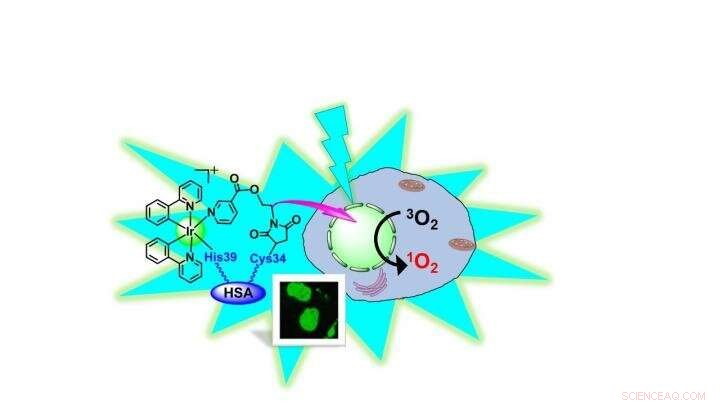 Iridium-Based Metal Compound Kills Cancer Cells When Activated by Light