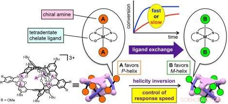 Controlled‑Speed Chirality Inversion in Helical Metal Molecules