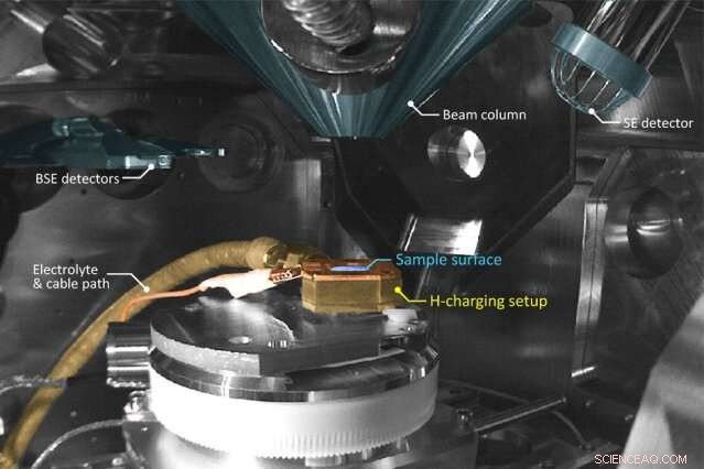 Investigating Hydrogen Effects on Metal Surfaces