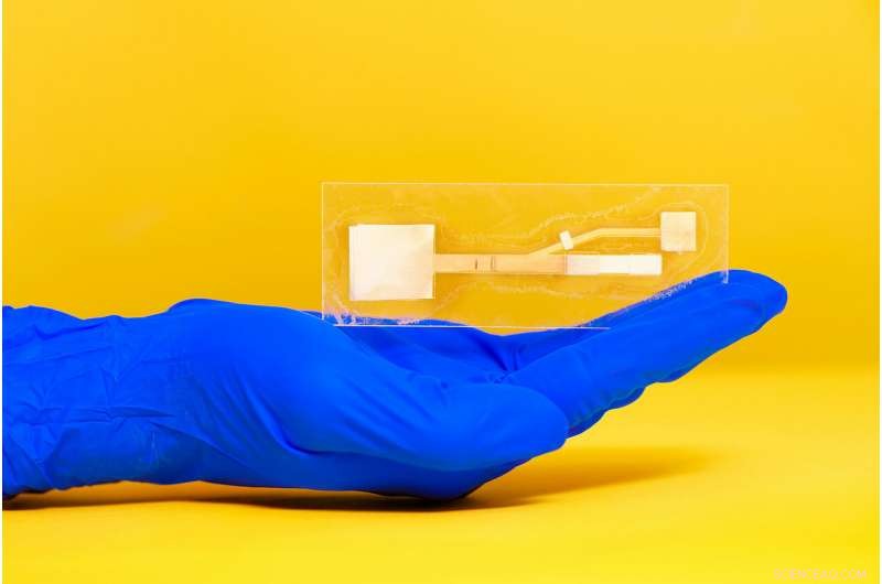 Paper‑Based Self‑Tests: A Cost‑Effective Solution for Detecting the World’s Most Common Infectious Diseases