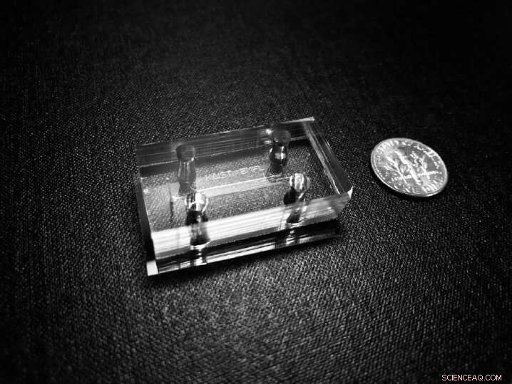 Accurate Antibiotic Sensitivity Testing: Revolutionizing Prescription Practices