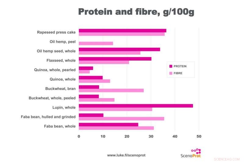 High‑Protein Plants Deliver Protein, Fiber, and Antioxidants—A One‑Stop Nutrient Solution