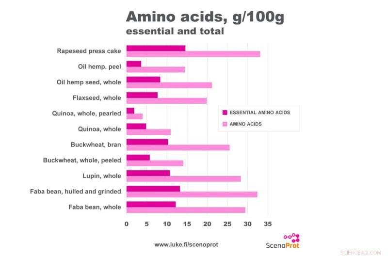 High‑Protein Plants Deliver Protein, Fiber, and Antioxidants—A One‑Stop Nutrient Solution