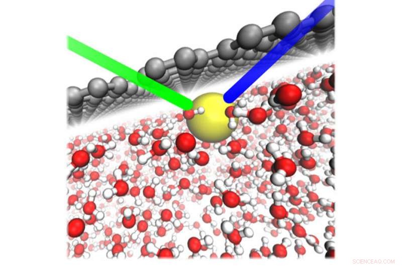 How Surfaces Influence Ion Adhesion: A Deep Dive