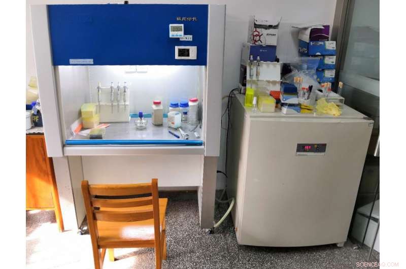 Eco-Friendly Water Purification System Eliminates Heavy Metals & Corrosive Chemicals