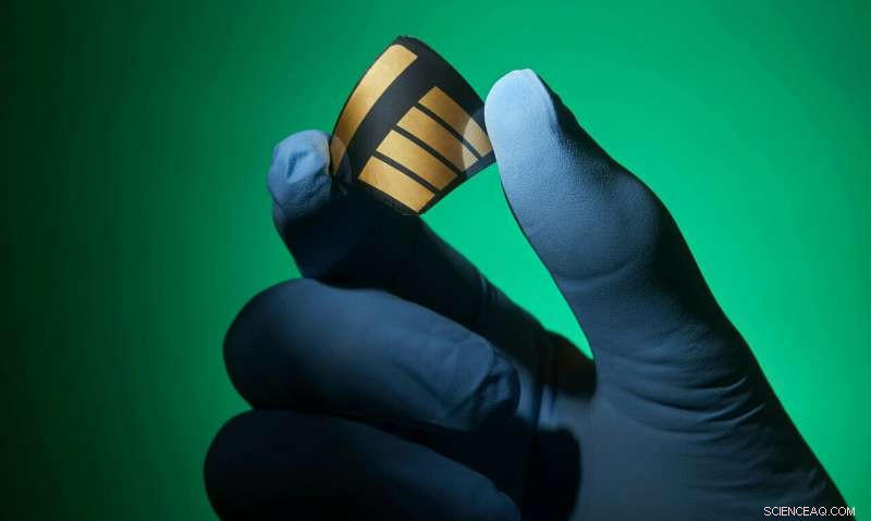 Harnessing Perovskite Technology to Revolutionize Solar Cells