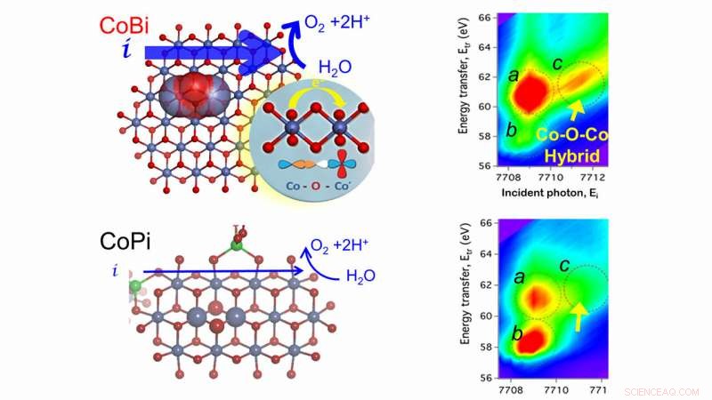 Scientists Use X-Ray Imaging to Unveil Next-Gen Fuel Catalysts