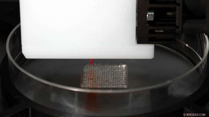 Advanced Bioplotting of Bone‑Mimetic 3‑D Scaffolds for Enhanced Osteogenesis