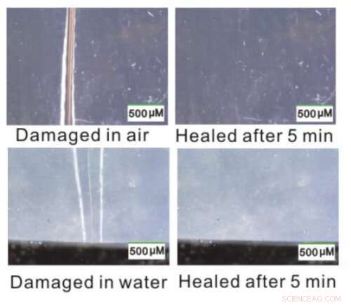 New Self‑Healing Material Promises Rapid Damage Recovery, Scientists Reveal