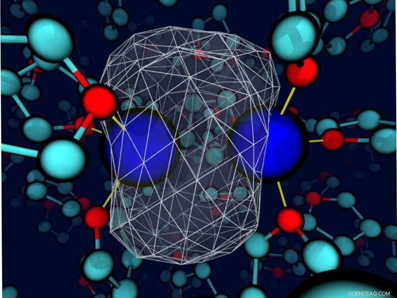 Solvent Liquids Transform Chemical Identity: How the Medium Shapes Molecular Behavior