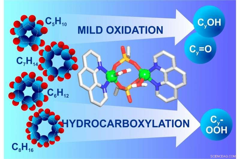 RUDN Scientists Unveil Mild-Condition Alkane Oxidation Catalyst