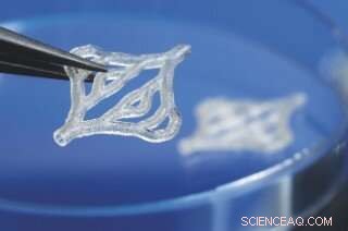 Accelerate Polymer Structure Fabrication: Dual-Process Machine Unveiled