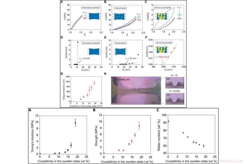 Advanced Hydrogels Designed to Resist Fatigue Fracture