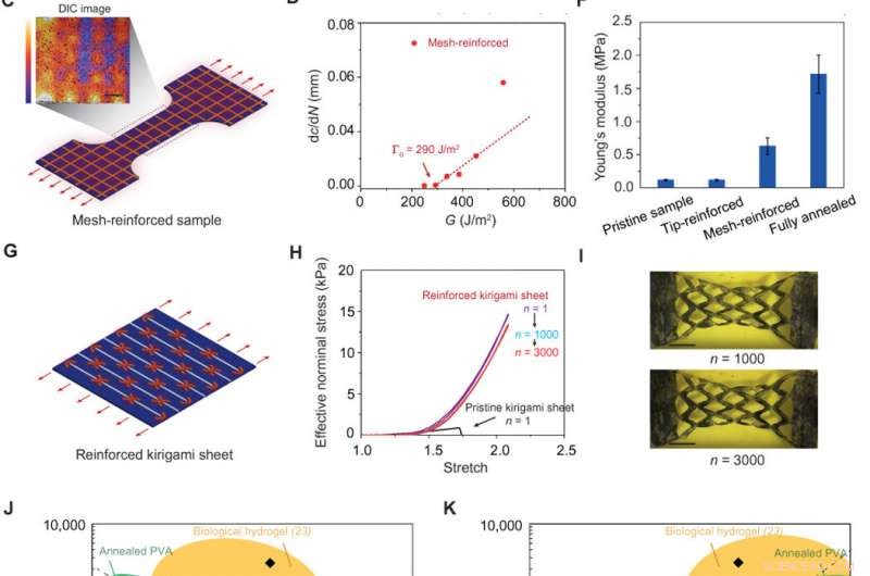 Advanced Hydrogels Designed to Resist Fatigue Fracture