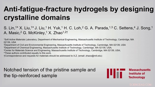 Advanced Hydrogels Designed to Resist Fatigue Fracture