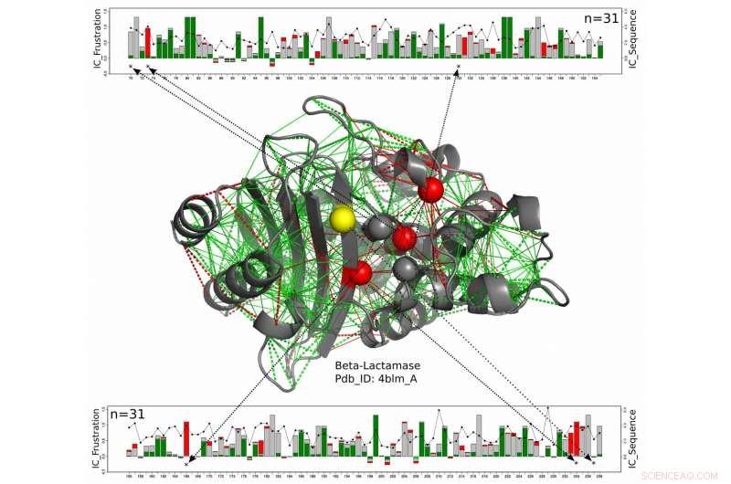 How Proteins Harness Frustration to Enhance Function