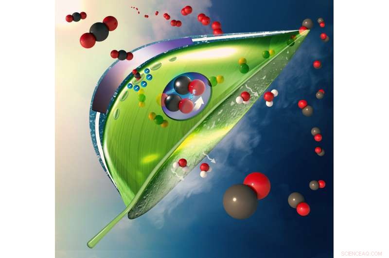 Deploying Bio‑Inspired Artificial Leaves from Lab to the Atmosphere