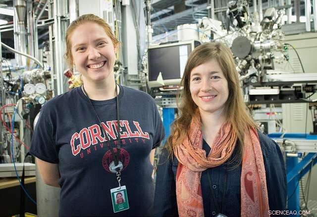 Cornell Researchers Reveal Charcoal’s Powerful Ability to Capture Ammonia Pollution