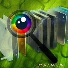 Enhancing Fuel Cell Efficiency with Cutting-Edge Surface Chemistry