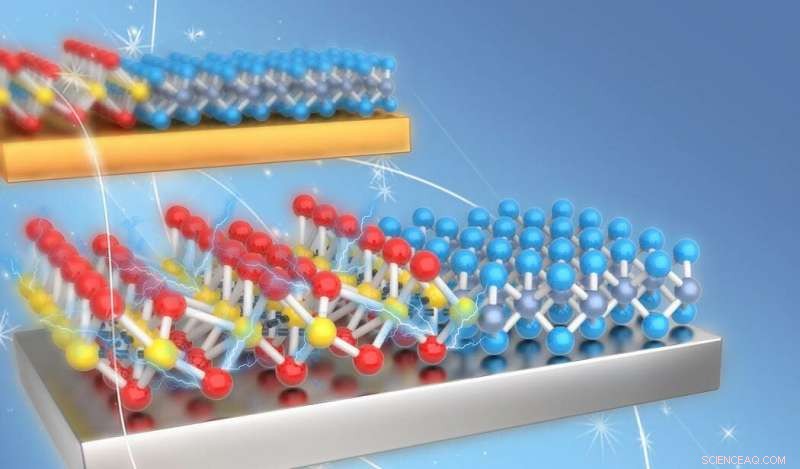 Unveiling Phase Transition Dynamics in Two-Dimensional Materials
