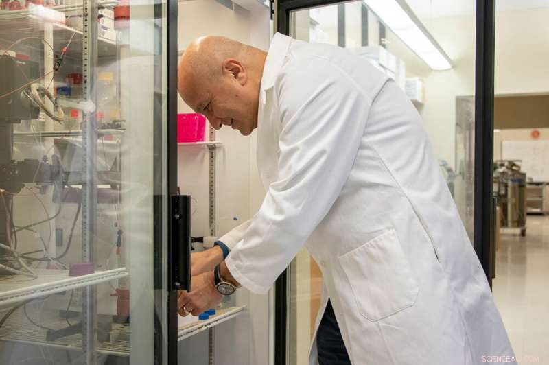 New Drug-Induced Membrane Complexes Trigger Cancer Cell Death