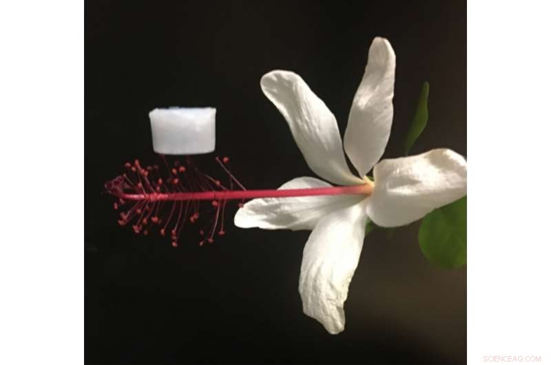 Scientists Develop Ultra‑Lightweight Ceramic Aerogel Capable of Withstanding Extreme Temperatures