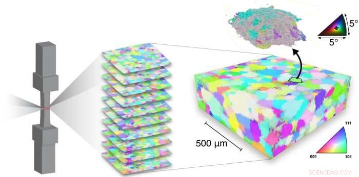 New 3‑D Experiments Reveal Advanced Insights into Shape Memory Alloys