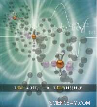 Unveiling the Mechanism of Iron-Catalyzed Hydrogen Bond Cleavage