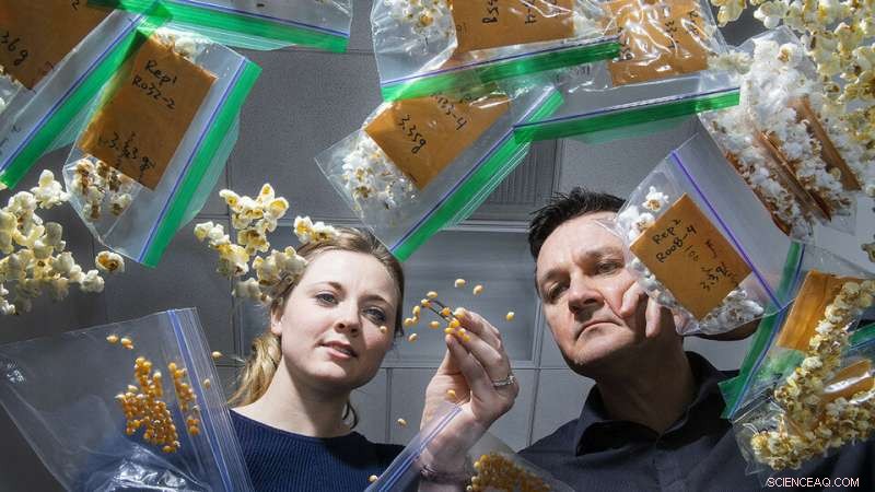 Boosting Nutrition: Genetic Advances in Popcorn and Sorghum