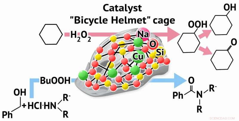 RUDN Chemist Unveils Innovative Copper–Sodium Catalyst for Efficient Oxidation and Amidation