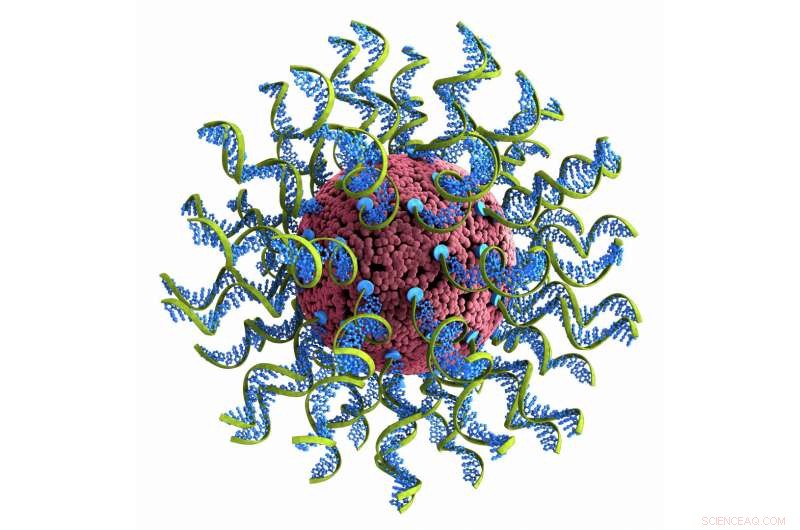 AI-Driven Rapid Analysis of Nanomedicines Accelerates Cancer Immunotherapy