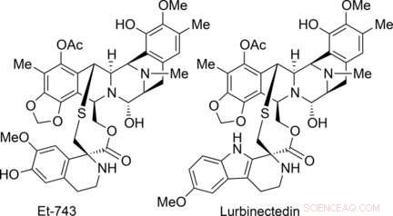 Efficient Total Synthesis of Marine Antitumor Drugs Trabectedin and Lurbinectedin