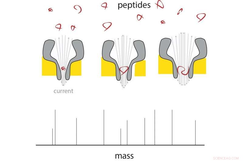 Nanopores Enable Portable Mass Spectrometer for Peptide Analysis