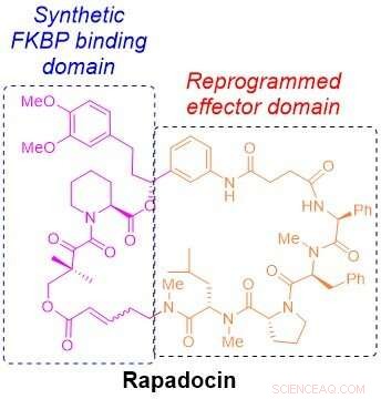 New Compound Found by Drug Librarian Could Prevent Common Surgical Complication
