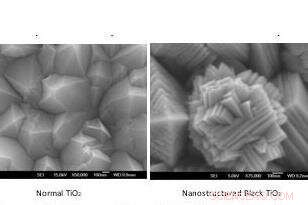 Shape-Shifting Element Unlocks Advanced Anti-Bacterial Coating