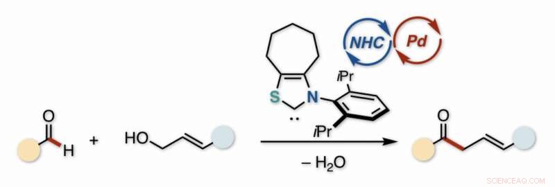 Synergistic Catalysis: Efficient Production of β,γ‑Unsaturated Ketones