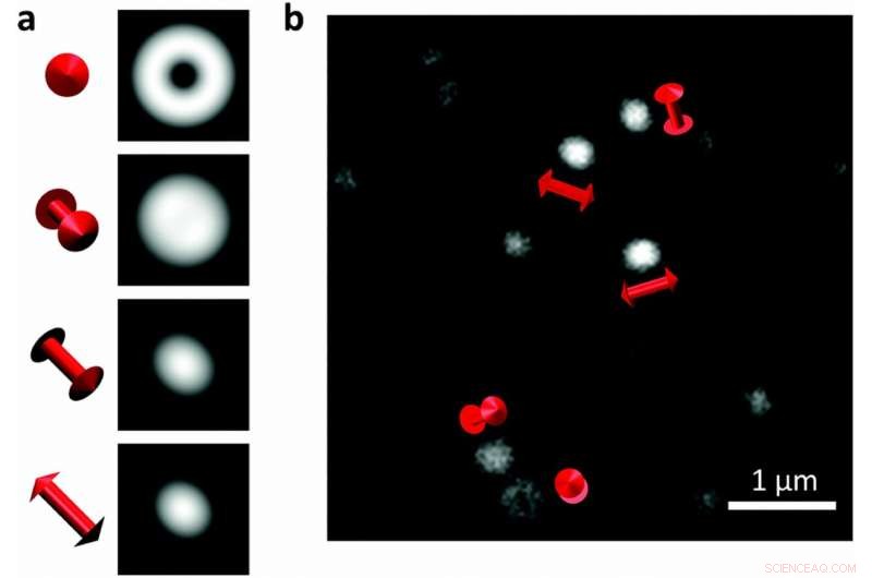 Advanced 3D Imaging Technique Reveals Molecular Onset of Mechanical Damage