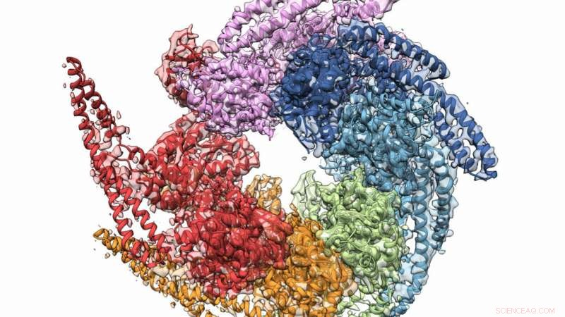 New Study Illuminates Hsp104 Protein s Role in Disease Defense