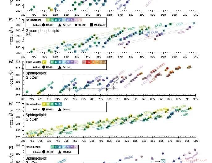Vanderbilt s Lipid Shape Atlas Promises Early Disease Detection