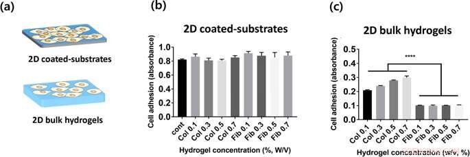 Advanced Semi-Flexible Modeling of Cell Adhesion on Hydrogels