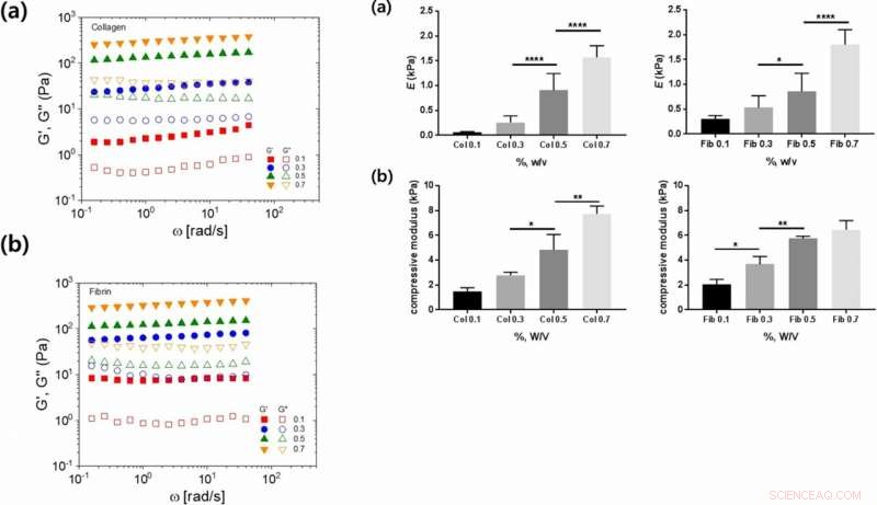 Advanced Semi-Flexible Modeling of Cell Adhesion on Hydrogels