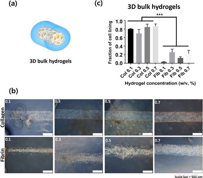 Advanced Semi-Flexible Modeling of Cell Adhesion on Hydrogels