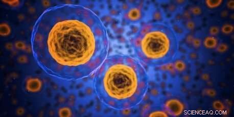 Unveiling the Molecular Mechanics of Tiny Bacterial Harpoons