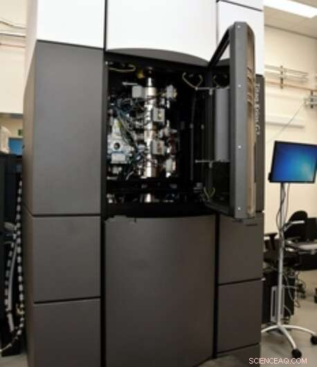 Unveiling the Molecular Mechanics of Tiny Bacterial Harpoons