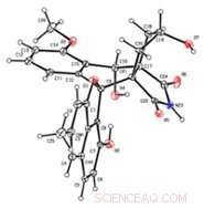Leiden University Announces Breakthrough Antibiotic  Leiden  to Combat Rising Resistance